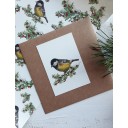 Mydesignpictures kartīte 10*7 cm Tit bird on pure white